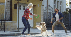 Pozrieť video o Hafboxe